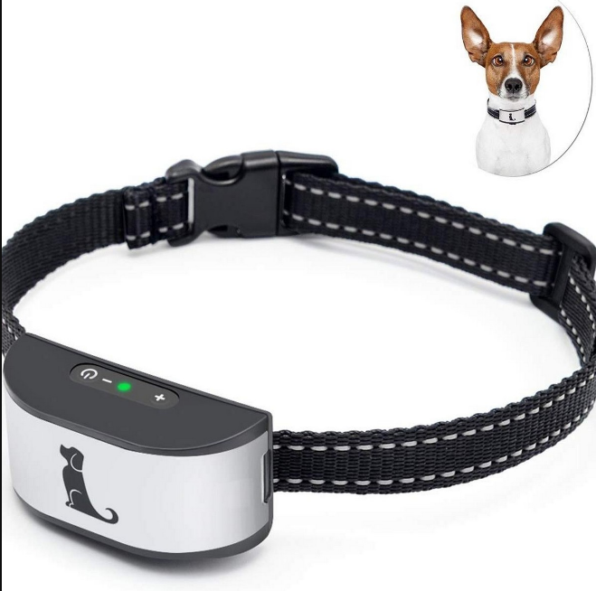 bark collar
